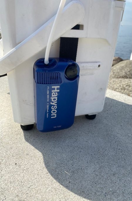 まだまだ小さいサイズが釣れもう少しで良い型が出てくると期待しながら