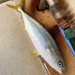 タチパターンじゃなかった！