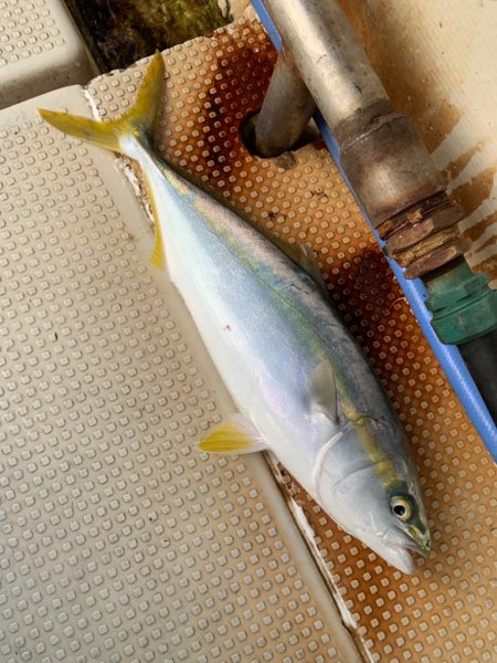 タチパターンじゃなかった！