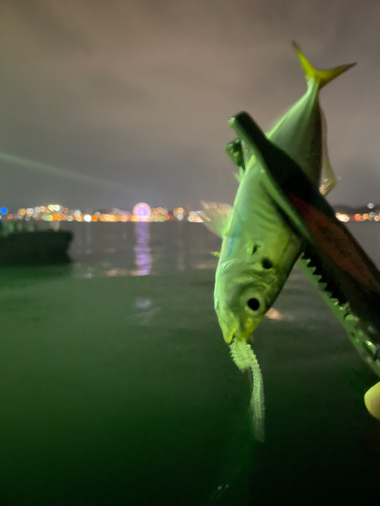 関門アジング10.17