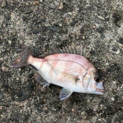 平磯海釣り公園