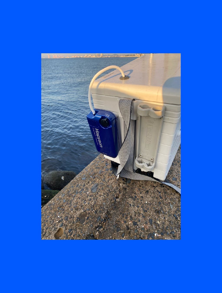 見えないですが確かに浅いタナで喰ってくる。