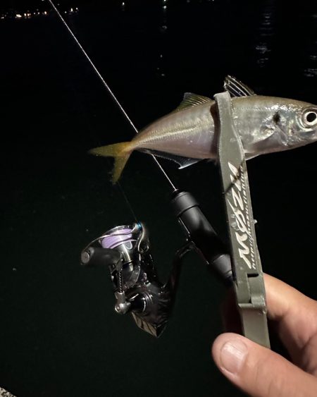 ホームで豆狩り