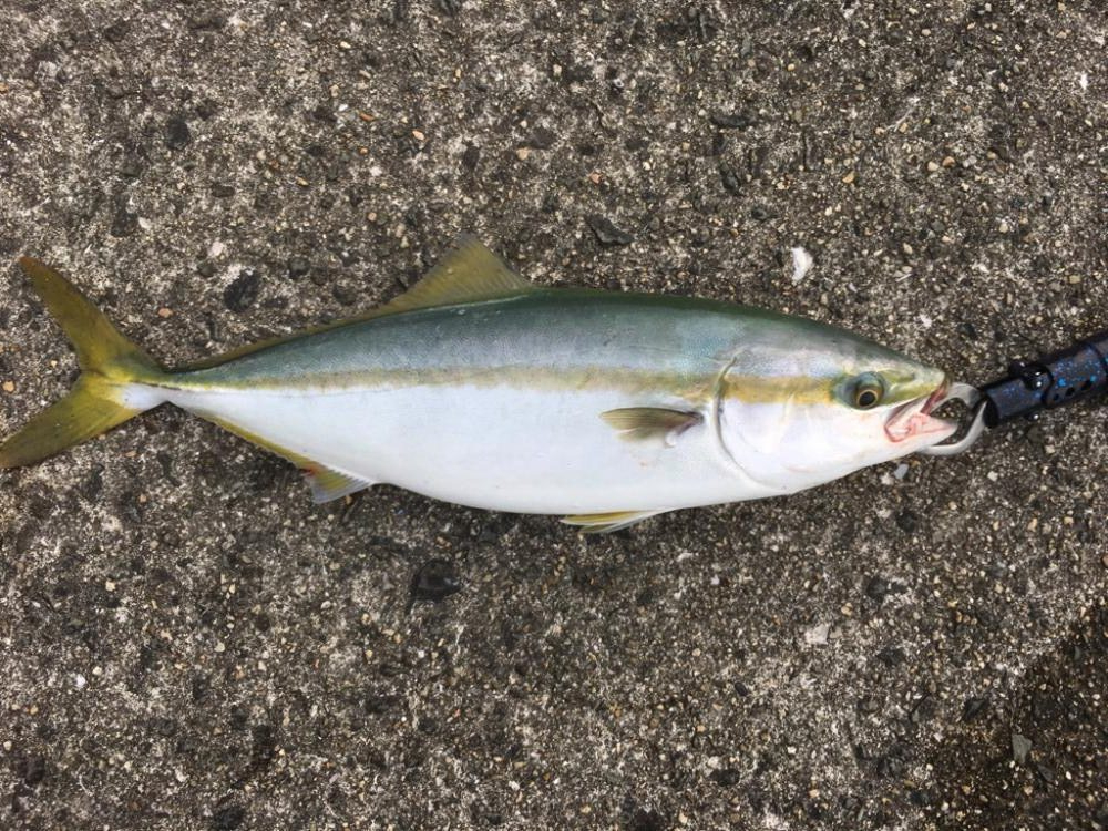 第7回雰囲気あります