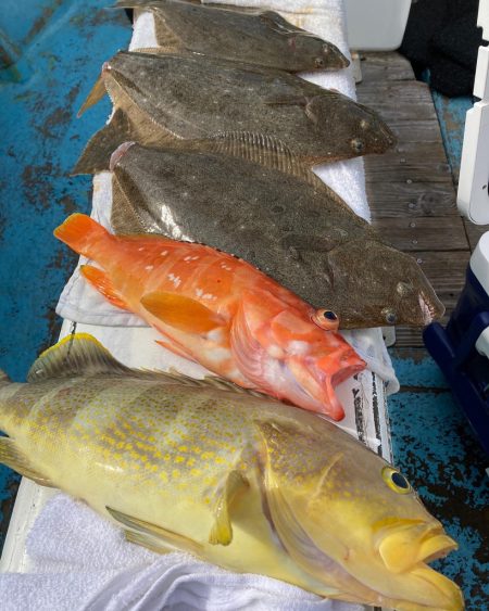 イワシ飲ませ釣り🎣
