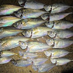 小さな潮の流れを