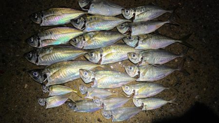 小さな潮の流れを