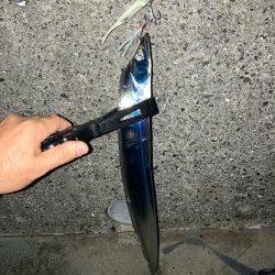 フラッシュJルミノーバグローシルバー使える…