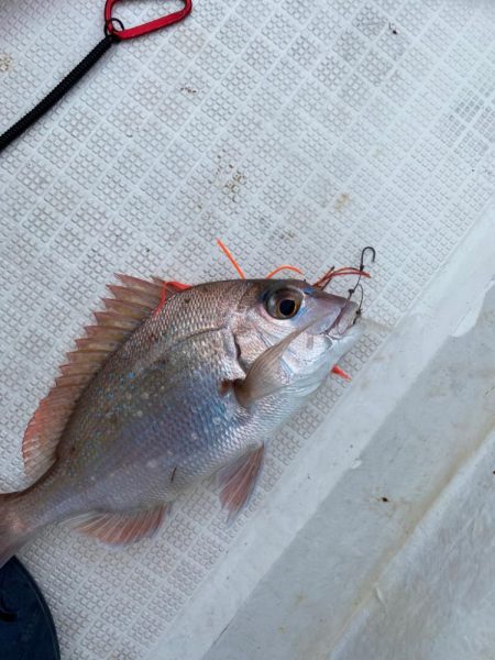 ボートで五目釣り