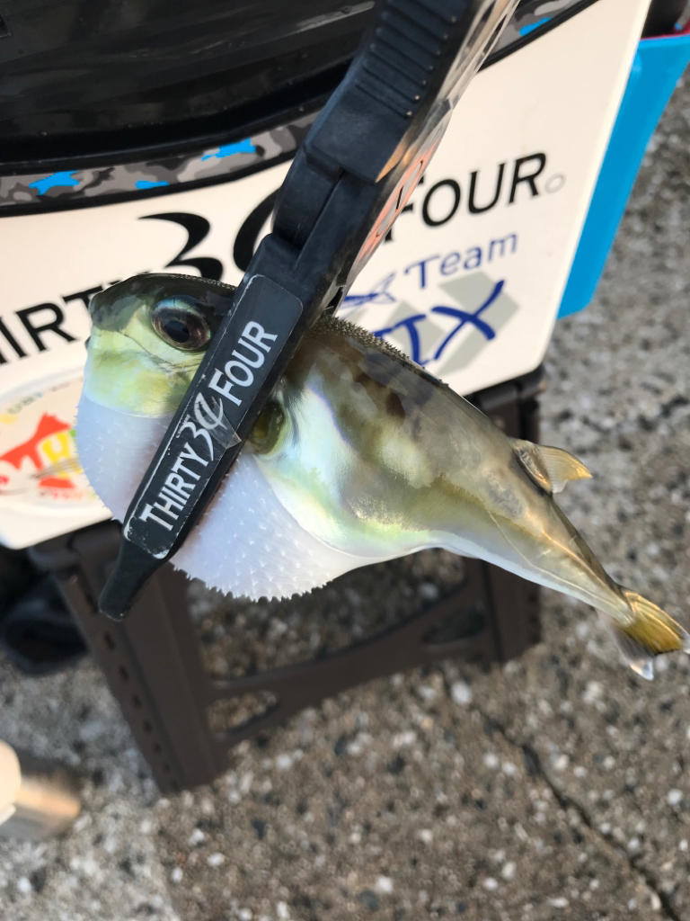 期待してたのに…😢