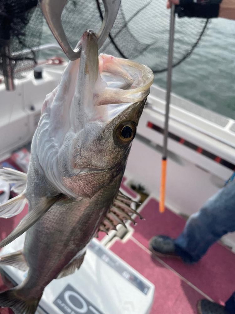 メタルジグにて