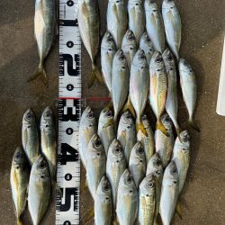 ボートアジング