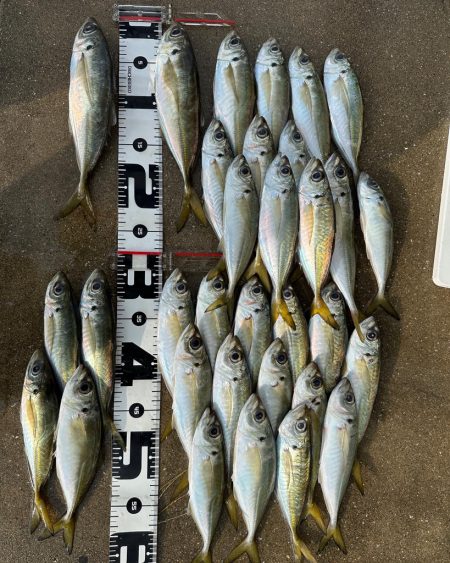 ボートアジング