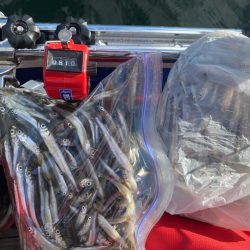 榛名湖ワカサギ釣り