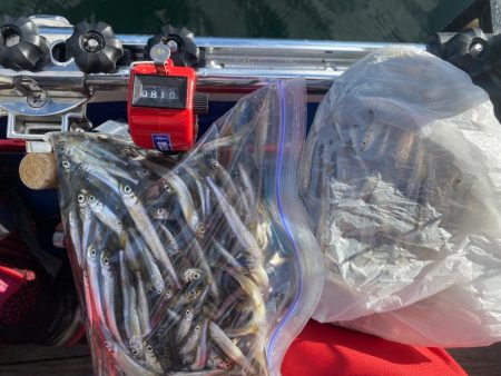 榛名湖ワカサギ釣り