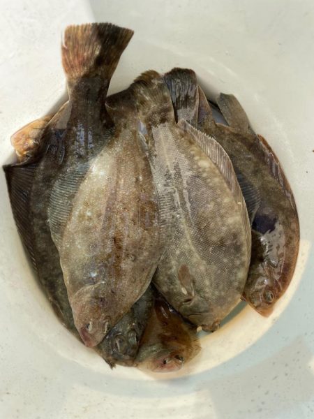 三陸船カレイ釣り