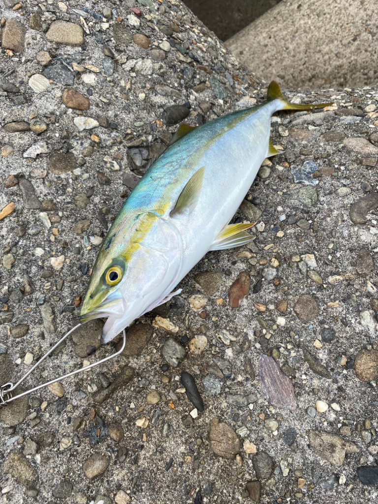 当たるけどなかなか乗らない