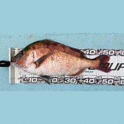 ボートジギング