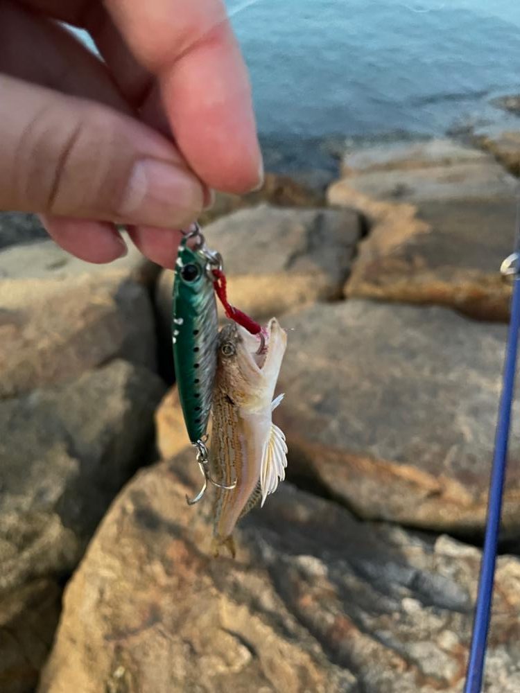 短時間ジギング