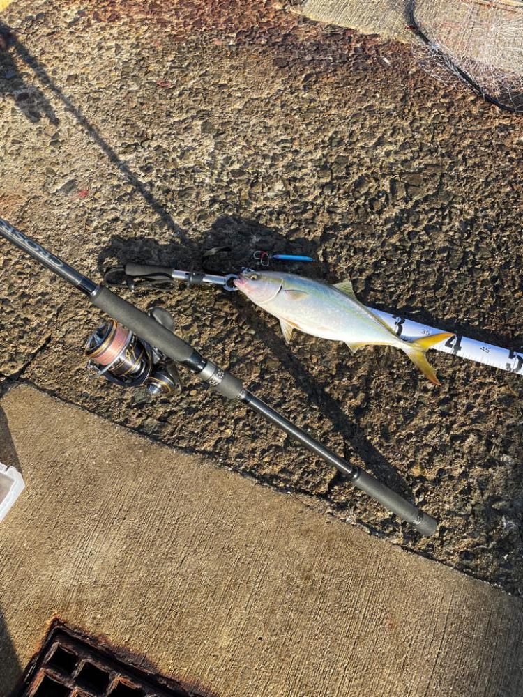 南港ショアジギング