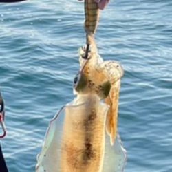 マイタックルにて初！！