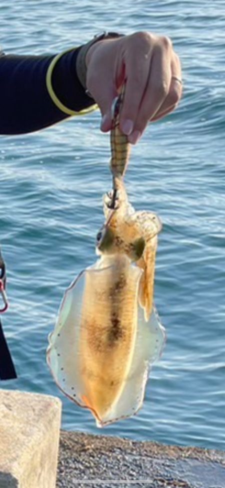 マイタックルにて初！！