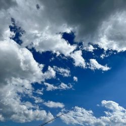 激渋の中の1本、、