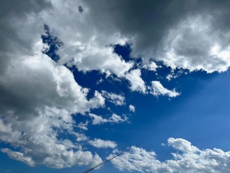 激渋の中の1本、、