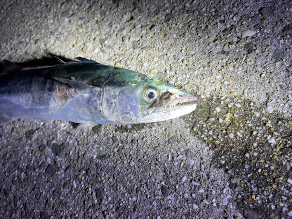 親友カップルと釣り