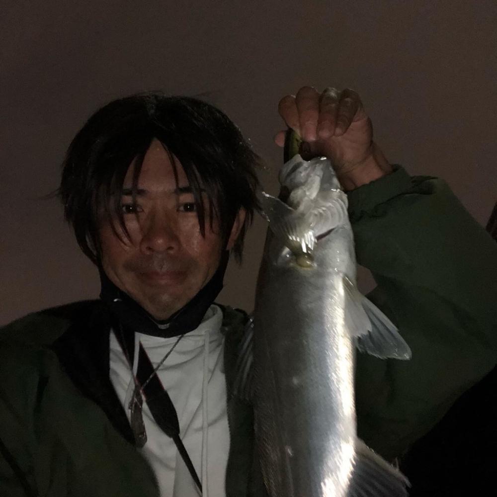 今日も今日とて