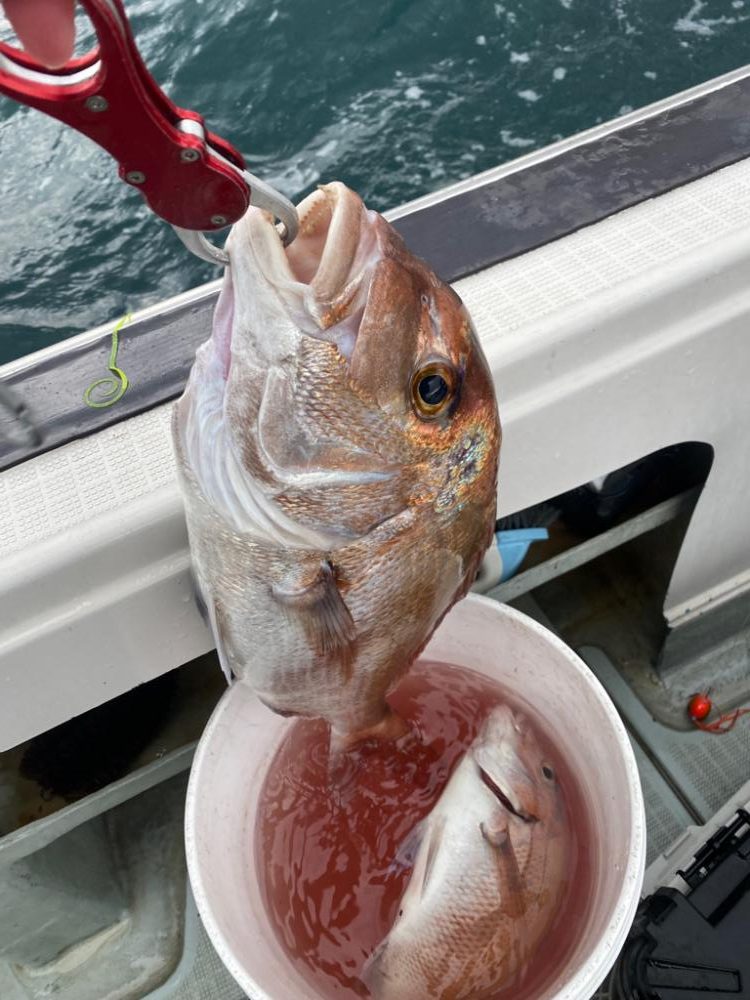 人生初タイラバ！