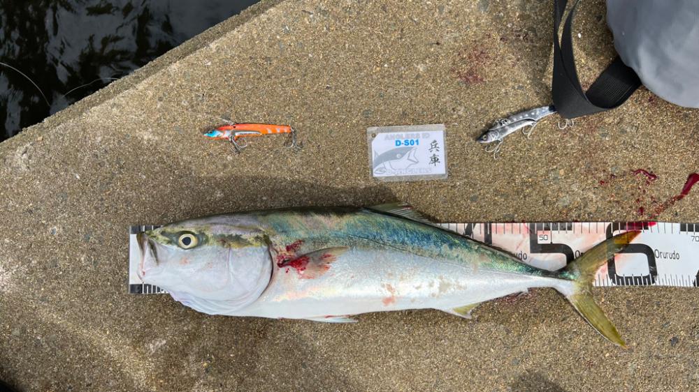 大阪北港青物祭り！