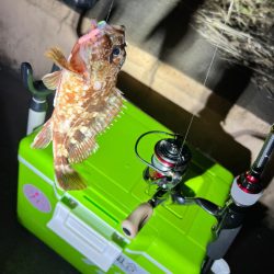 おにゅーなロッドで出撃！！