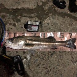 イベント期間中最大