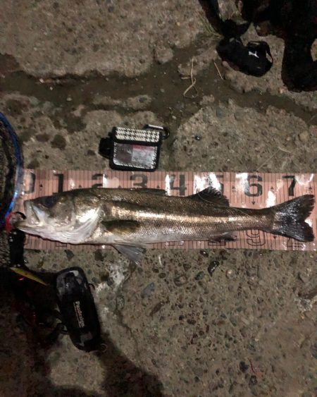 イベント期間中最大