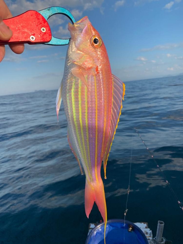 久しぶりのボート釣行!