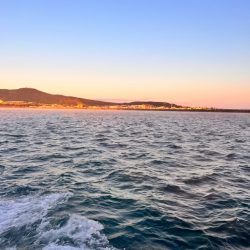 オフショアジギング