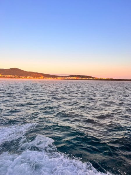 オフショアジギング