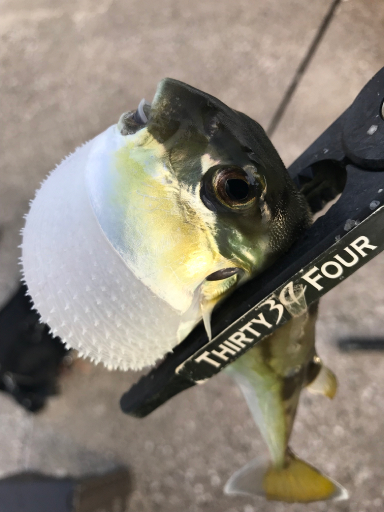 週末ルーティン