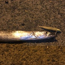 夕練 運だめし！