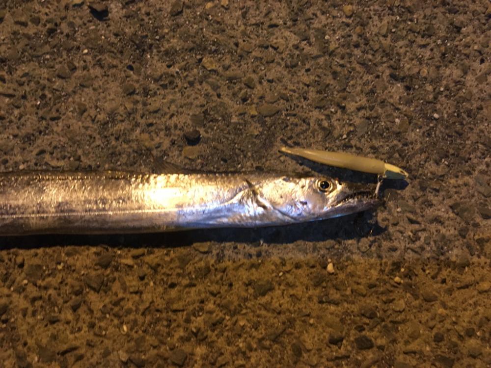 夕練 運だめし！