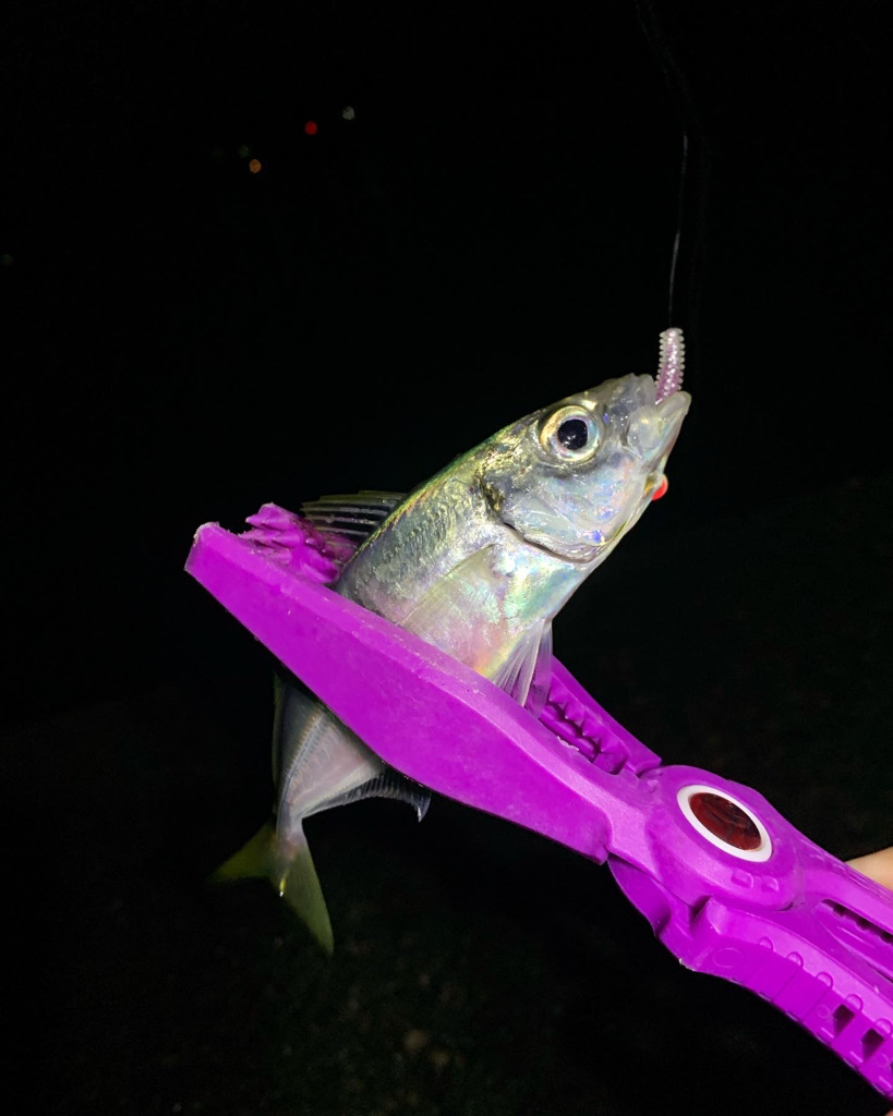 ダイソー最高!!