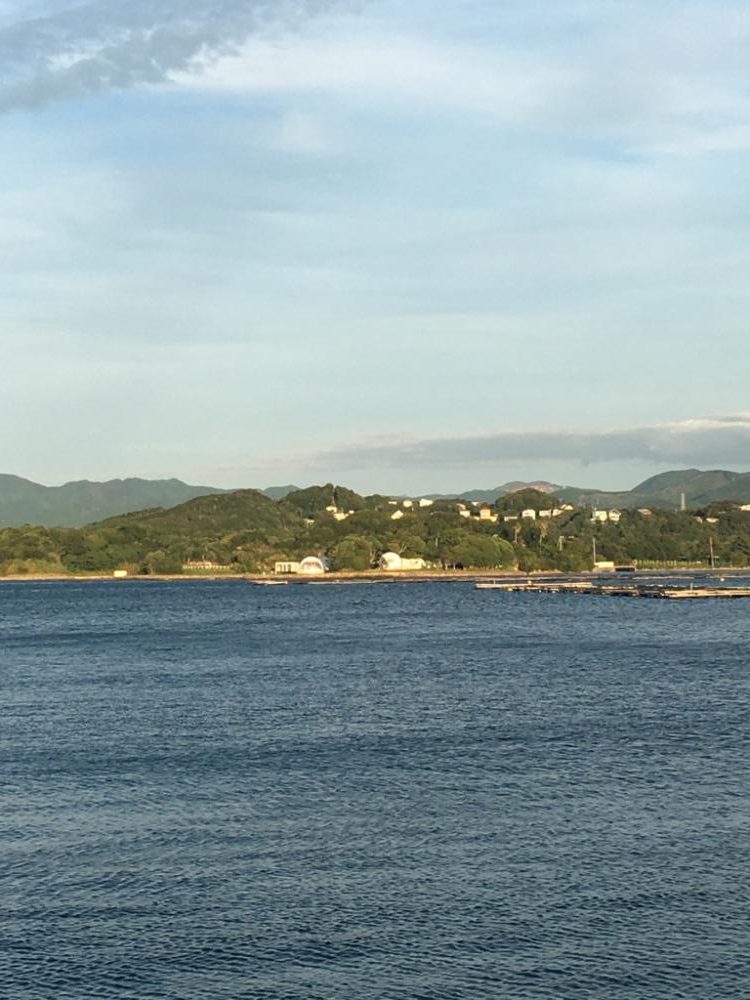 オオモンハタばかりですね、、、