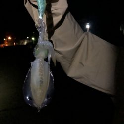 困った時はサーフ！