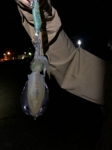 困った時はサーフ！