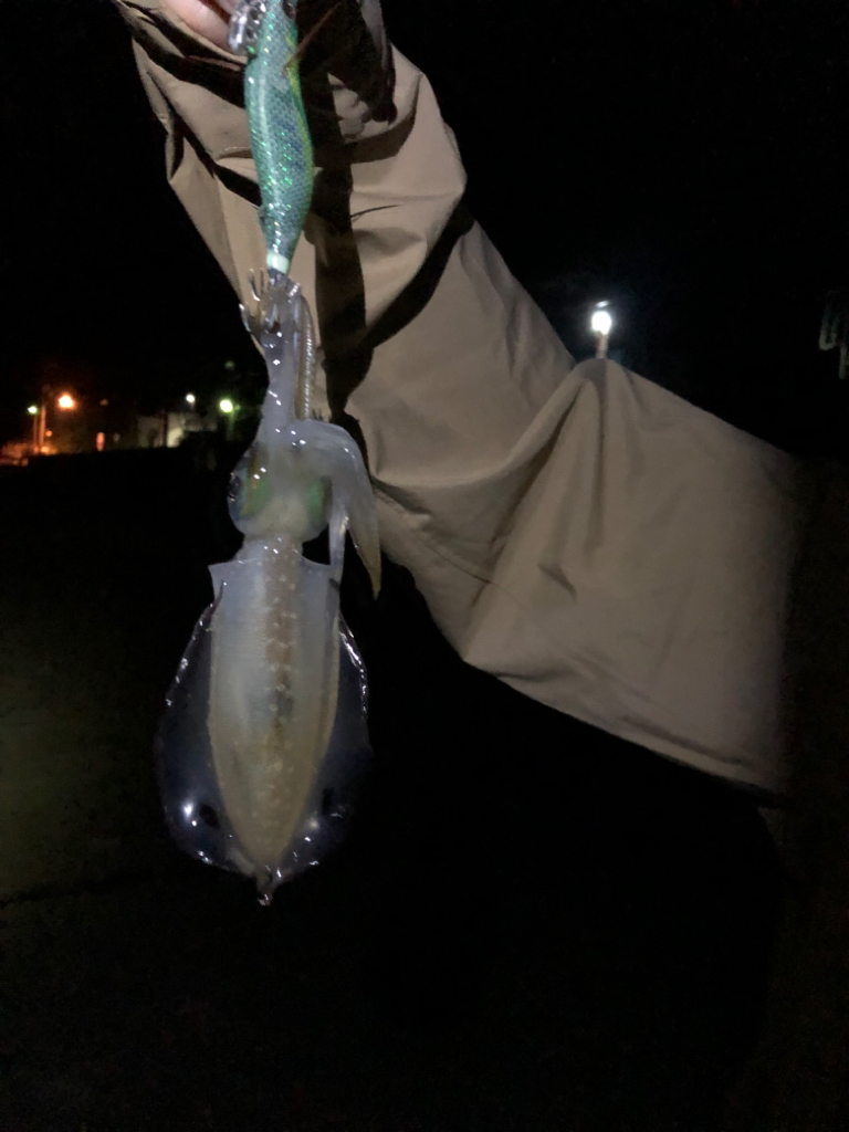 困った時はサーフ！