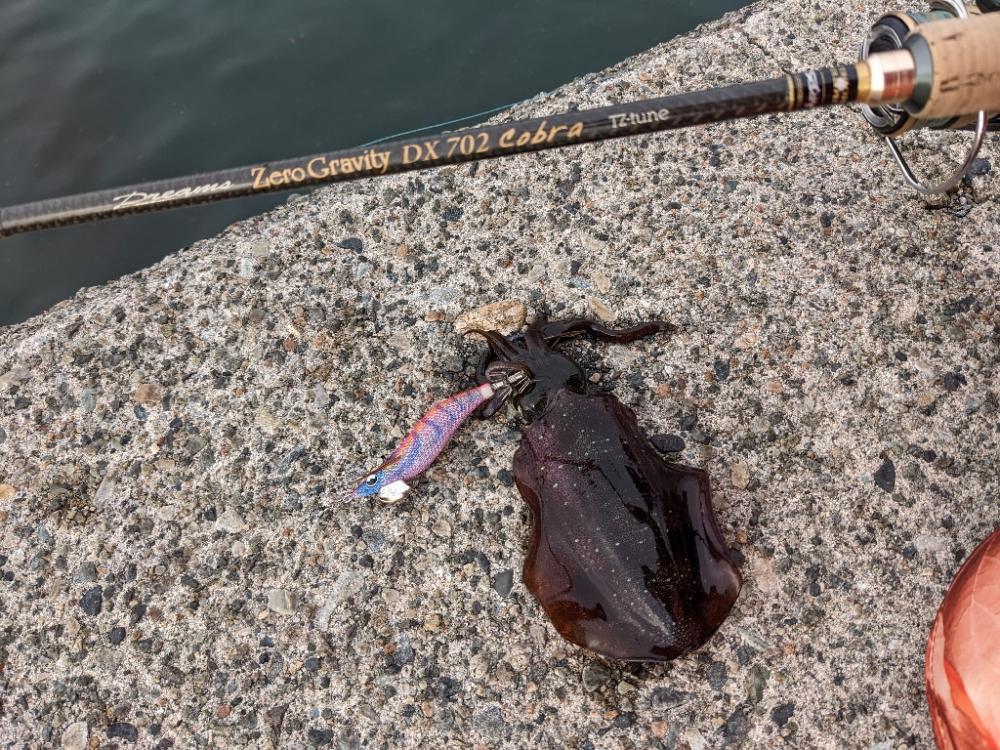 ババ荒れにて奔走も41杯(・x・*)♪