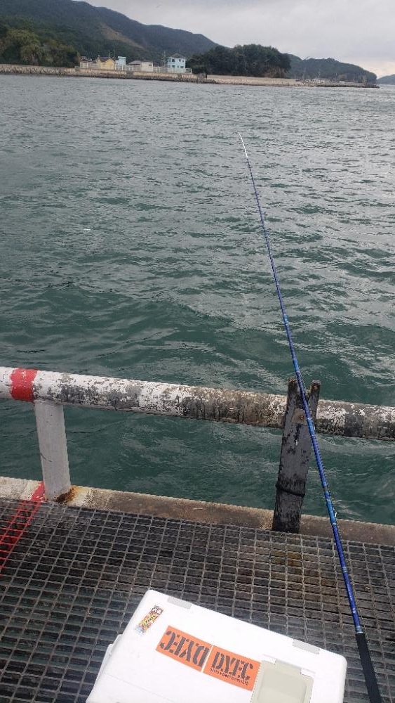 今日は渋かった