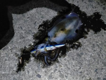 ショアジギング修行