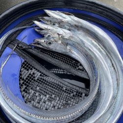 タイラバのつもりが